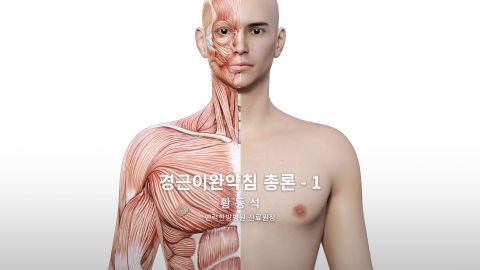 온라인강의 이미지