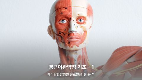 1부. 경근이완약침개론(이론편) 2