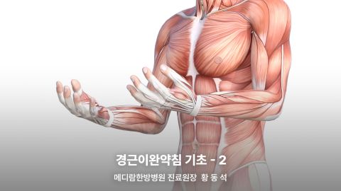 1부. 경근이완약침개론(이론편) 2