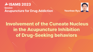 온라인강의 이미지